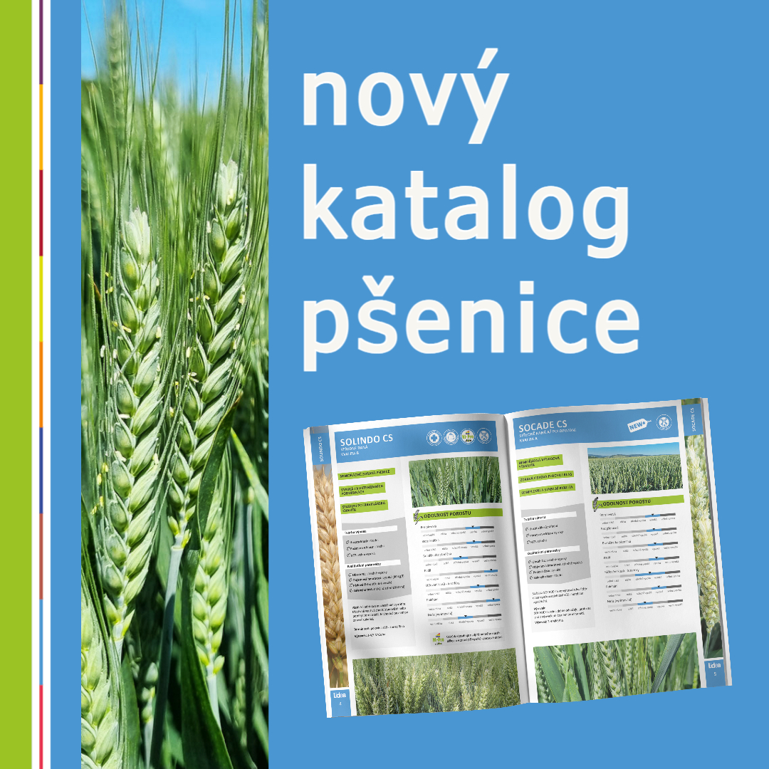 Nová katalog ozimé pšenice 2023