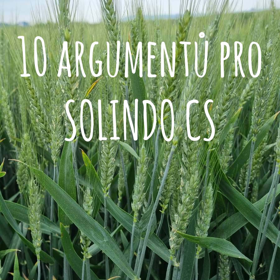 10 argumentů pro Solindo CS