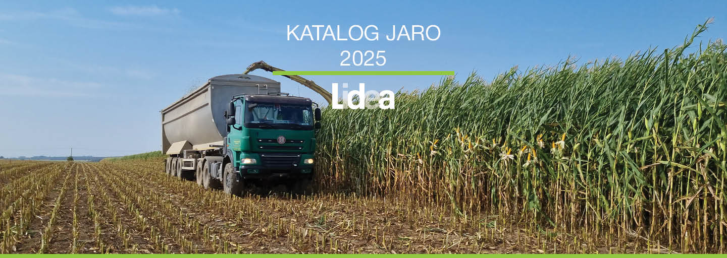 Katalog 2025 thumbnail