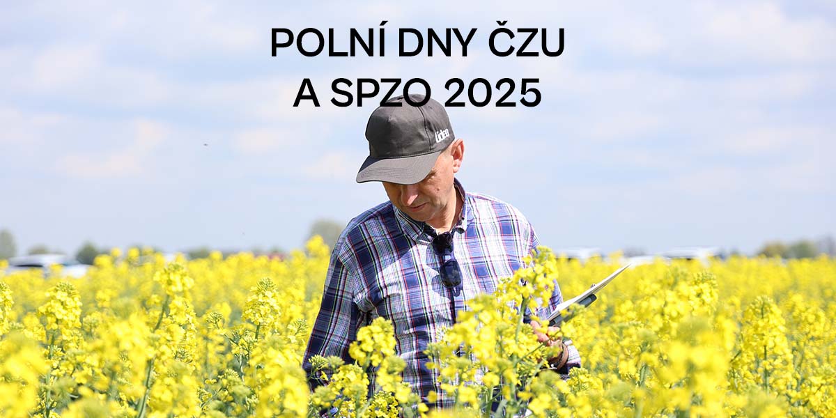 Polní dny řepky 2025 - thumbnail