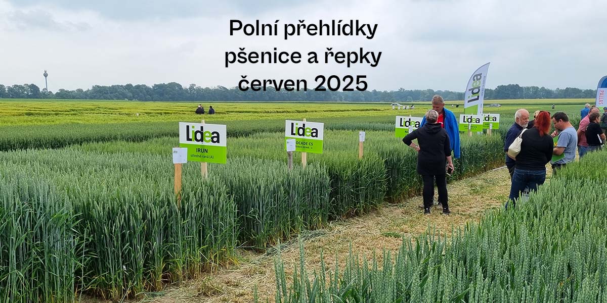 Thumbnail - polni dny červen 2025